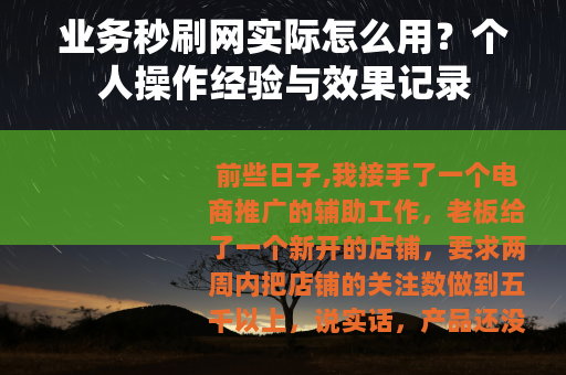 业务秒刷网实际怎么用？个人操作经验与效果记录