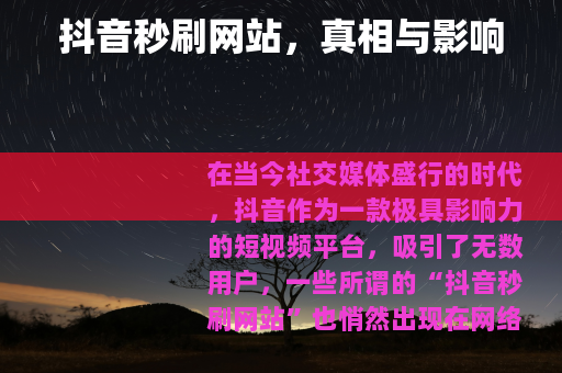 抖音秒刷网站，真相与影响