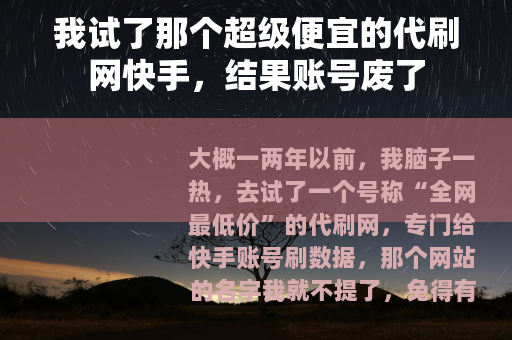 我试了那个超级便宜的代刷网快手，结果账号废了