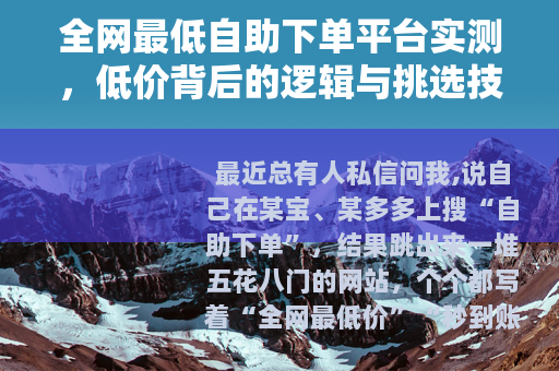 全网最低自助下单平台实测，低价背后的逻辑与挑选技巧