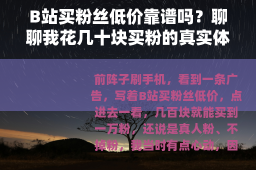 B站买粉丝低价靠谱吗？聊聊我花几十块买粉的真实体验
