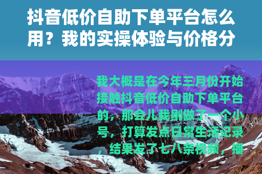 抖音低价自助下单平台怎么用？我的实操体验与价格分析