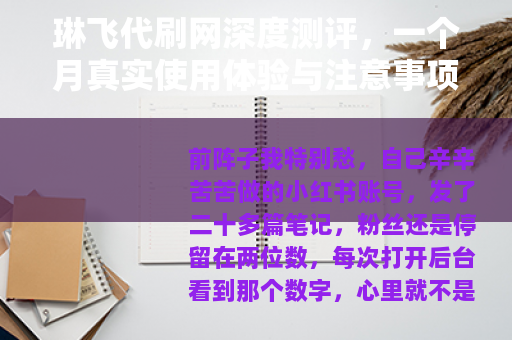 琳飞代刷网深度测评，一个月真实使用体验与注意事项