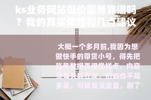 ks业务网站低价服务靠谱吗？我的真实体验和几点建议
