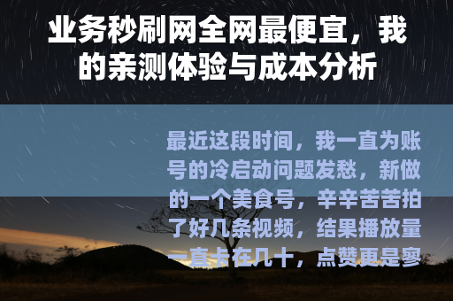 业务秒刷网全网最便宜，我的亲测体验与成本分析