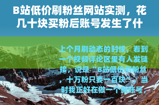 B站低价刷粉丝网站实测，花几十块买粉后账号发生了什么