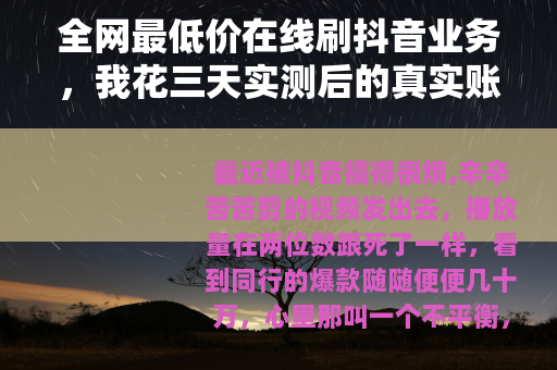全网最低价在线刷抖音业务，我花三天实测后的真实账单