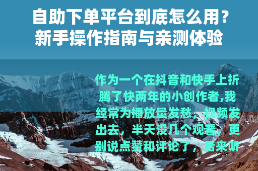 自助下单平台到底怎么用?新手操作指南与亲测体验 自助下单平台到底怎么用?新手操作指南与亲测体验