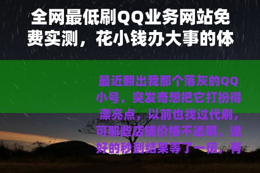 全网最低刷QQ业务网站免费实测，花小钱办大事的体验分享
