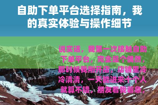 自助下单平台选择指南，我的真实体验与操作细节