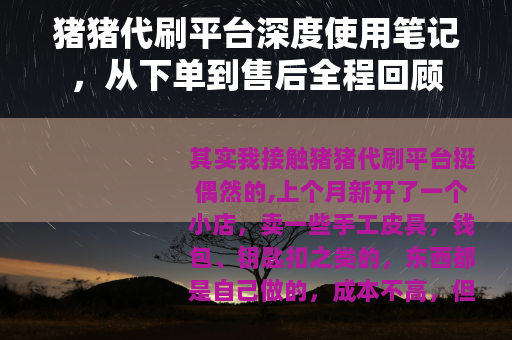 猪猪代刷平台深度使用笔记，从下单到售后全程回顾