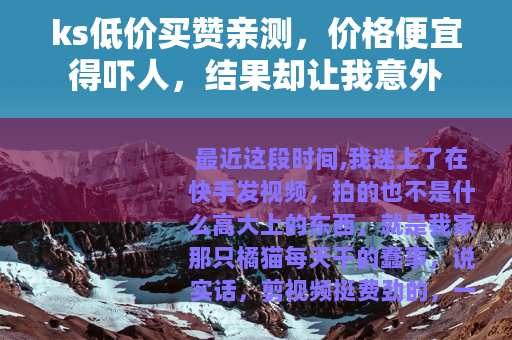 ks低价买赞亲测，价格便宜得吓人，结果却让我意外
