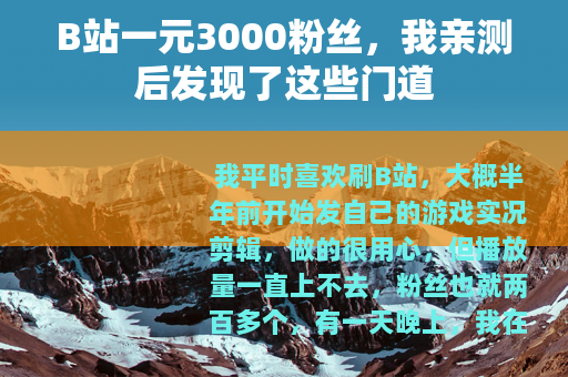 B站一元3000粉丝，我亲测后发现了这些门道