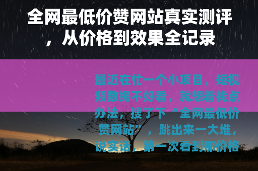 全网最低价赞网站真实测评，从价格到效果全记录