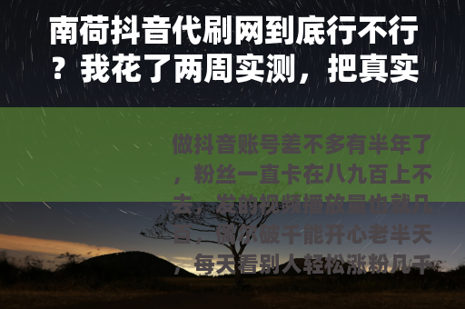 南荷抖音代刷网到底行不行？我花了两周实测，把真实过程全写出来