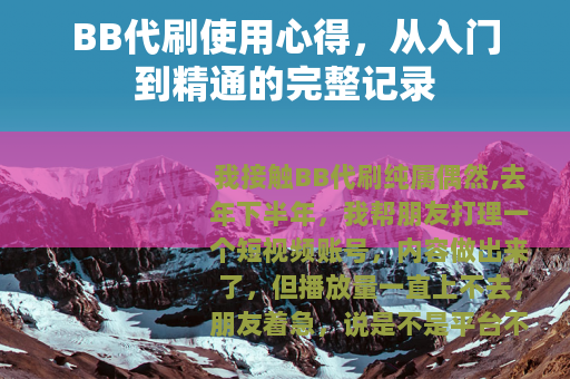 BB代刷使用心得,从入门到精通的完整记录 BB代刷使用心得,从入门到精通的完整记录