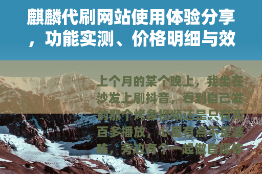 麒麟代刷网站使用体验分享，功能实测、价格明细与效果追踪