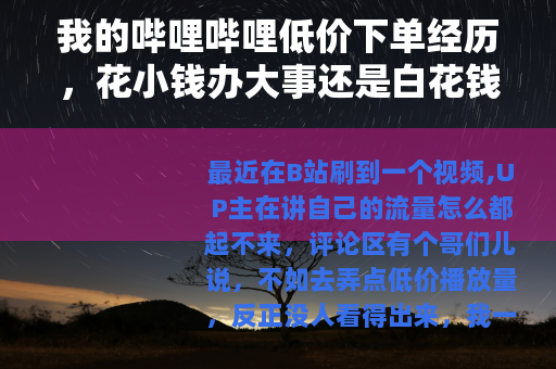 我的哔哩哔哩低价下单经历，花小钱办大事还是白花钱？