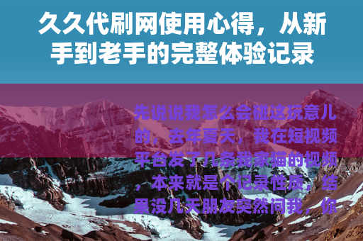 久久代刷网使用心得，从新手到老手的完整体验记录