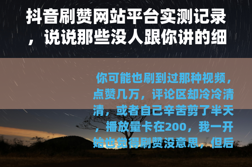 抖音刷赞网站平台实测记录，说说那些没人跟你讲的细节