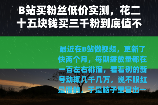 B站买粉丝低价实测，花二十五块钱买三千粉到底值不值？