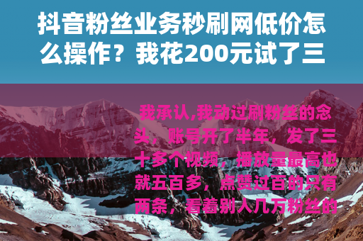 抖音粉丝业务秒刷网低价怎么操作？我花200元试了三天