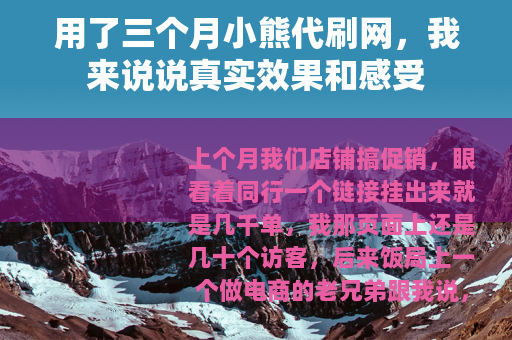 用了三个月小熊代刷网，我来说说真实效果和感受