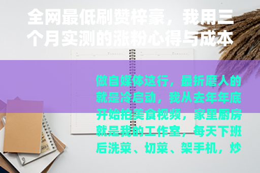 全网最低刷赞梓豪，我用三个月实测的涨粉心得与成本分析