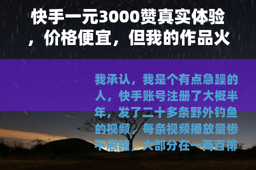 快手一元3000赞真实体验，价格便宜，但我的作品火了吗？