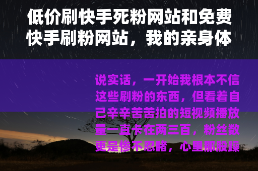 低价刷快手死粉网站和免费快手刷粉网站，我的亲身体验分享