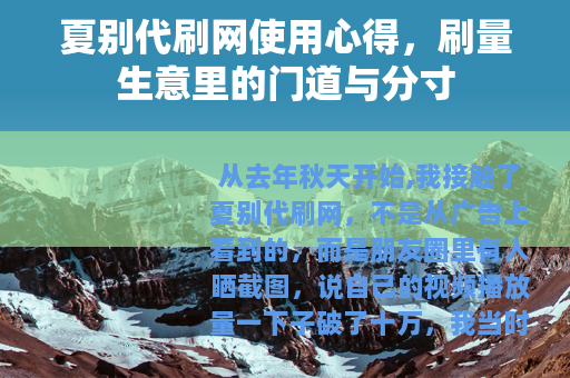 夏别代刷网使用心得，刷量生意里的门道与分寸