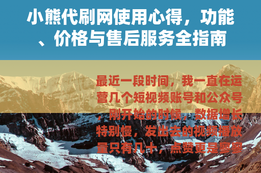 小熊代刷网使用心得，功能、价格与售后服务全指南