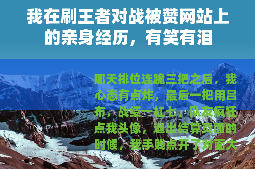 我在刷王者对战被赞网站上的亲身经历，有笑有泪