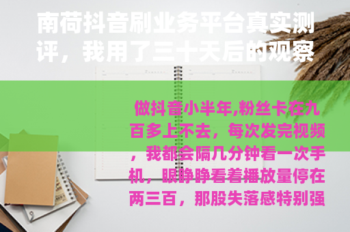 南荷抖音刷业务平台真实测评，我用了三十天后的观察与建议