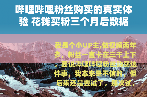 哔哩哔哩粉丝购买的真实体验 花钱买粉三个月后数据发生了什么