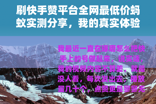 刷快手赞平台全网最低价蚂蚁实测分享，我的真实体验与价格分析