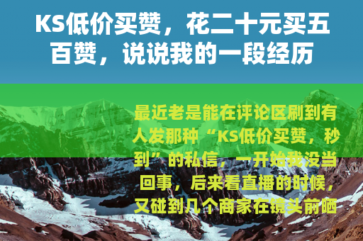 KS低价买赞，花二十元买五百赞，说说我的一段经历