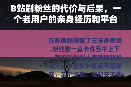 B站刷粉丝的代价与后果，一个老用户的亲身经历和平台规则分析