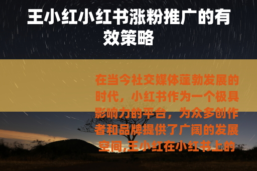 王小红小红书涨粉推广的有效策略