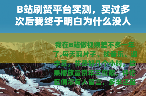 B站刷赞平台实测，买过多次后我终于明白为什么没人帮你