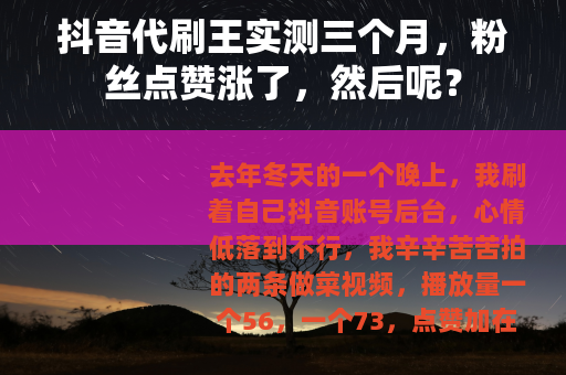 抖音代刷王实测三个月，粉丝点赞涨了，然后呢？
