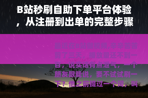 B站秒刷自助下单平台体验，从注册到出单的完整步骤