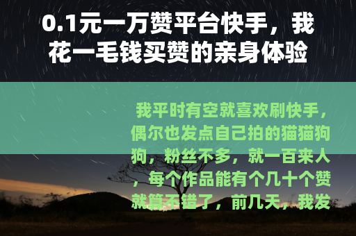0.1元一万赞平台快手，我花一毛钱买赞的亲身体验