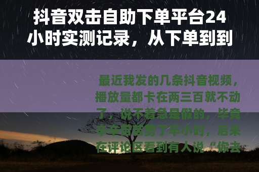 抖音双击自助下单平台24小时实测记录，从下单到到账全流程