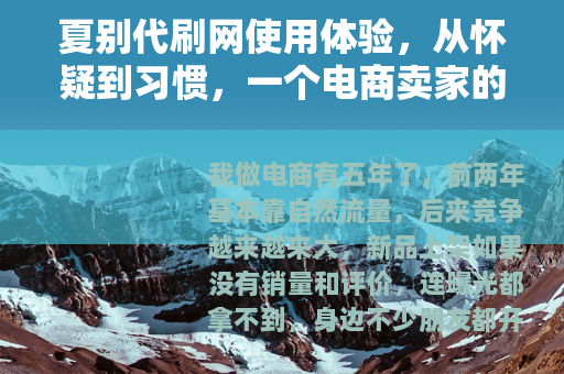 夏别代刷网使用体验,从怀疑到习惯,一个电商卖家的真实记录 夏别代刷网使用体验,从怀疑到习惯,一个电商卖家的真实记录