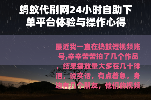 蚂蚁代刷网24小时自助下单平台体验与操作心得