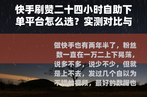 快手刷赞二十四小时自助下单平台怎么选？实测对比与使用心得