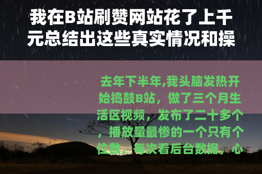 我在B站刷赞网站花了上千元总结出这些真实情况和操作细节