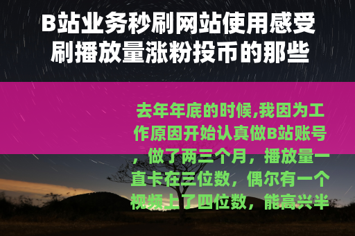 B站业务秒刷网站使用感受 刷播放量涨粉投币的那些坑与收获