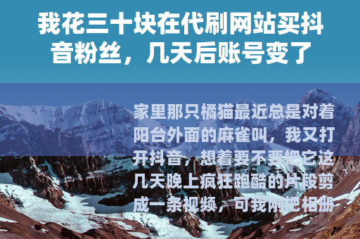 我花三十块在代刷网站买抖音粉丝，几天后账号变了